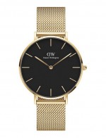 DANIEL WELLINGTON PETITE EVERGOLD DW00100345 36MM