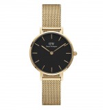 DANIEL WELLINGTON PETITE EVERGOLD DW00100349 28MM