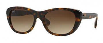 RAYBAN RB4227 710/13 55